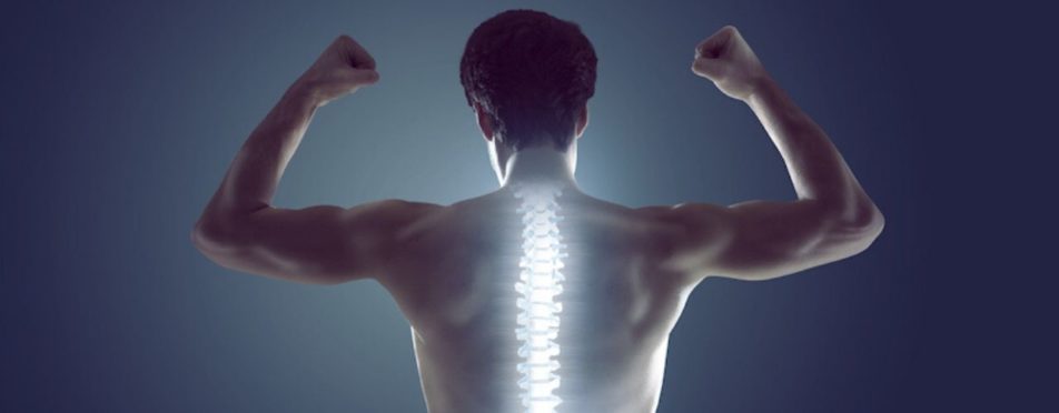 improve spine health header