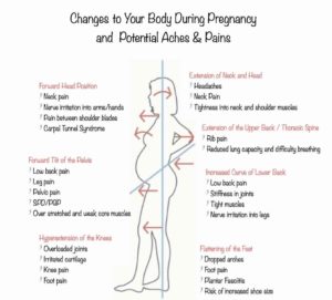 Chiropractic-pregnancy-guide