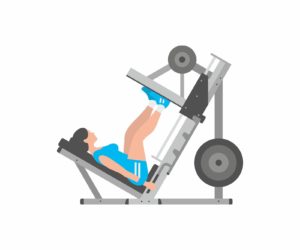 leg-press-lower-body-exercises